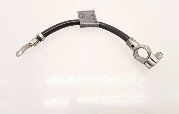 Mercedes-Benz B W245 Negative earth cable (battery) A1695406409