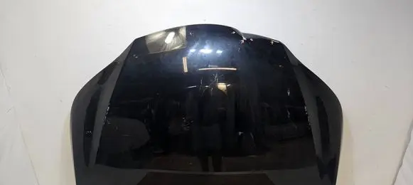 Lexus NX Engine bonnet/hood LEXUSNX