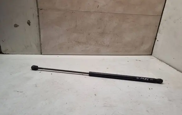 Tailgate/trunk strut/damper