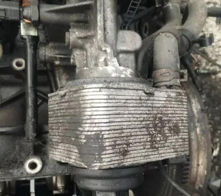 Volkswagen PASSAT B5.5 Oil filter cover 