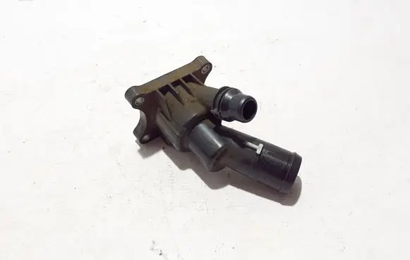 Thermostat/thermostat housing