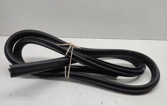 BMW 1 E82 E88 Front door rubber seal 7164993