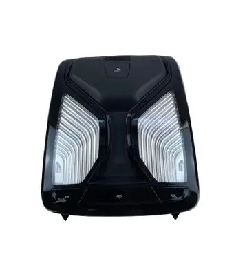 BMW 5 G30 G31 G38 Front seat light 9893138