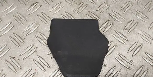 Toyota Verso Other front door trim element 879630F010