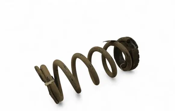 Ford Mustang VI Rear coil spring FR3C5560BC