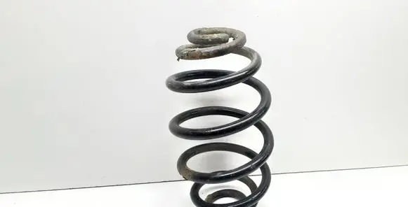 Volkswagen PASSAT B5 Rear coil spring