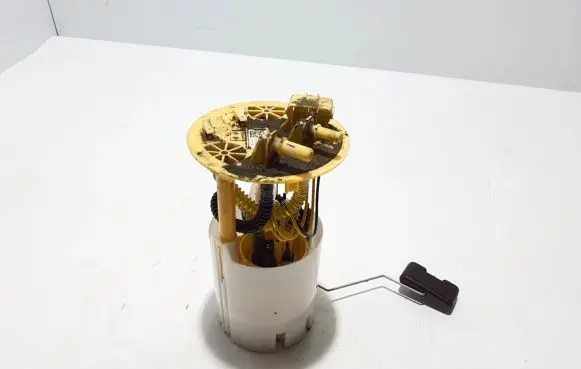 Renault Espace V (RFC) In-tank fuel pump 172023644R