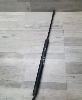 Tailgate/trunk strut/damper