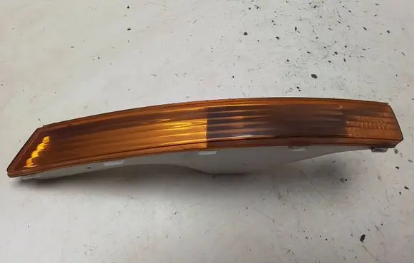 Volkswagen PASSAT B6 Front indicator light E1011890