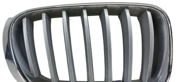 BMW X3 F25 Front bumper upper radiator grill 7210726-kolumb