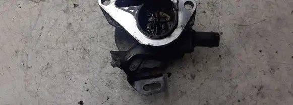 Nissan Qashqai Vacuum pump 8201005306