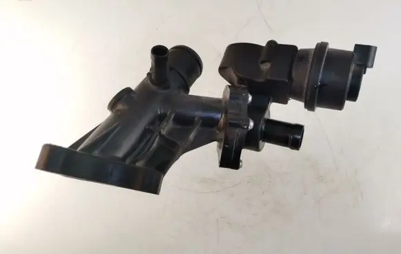 Thermostat/thermostat housing