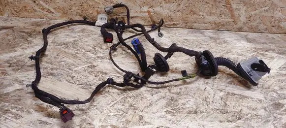 Cadillac SRX Front door wiring loom 20845774