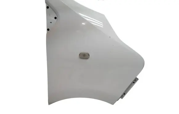 Renault Trafic III (X82) Fender