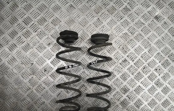 Rear coil spring