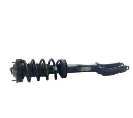Alfa Romeo Stelvio Front shock absorber with coil spring 50557510 00505575100 00505355620