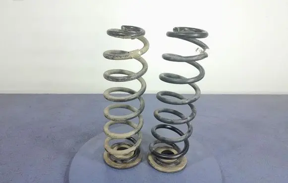 Rear coil spring