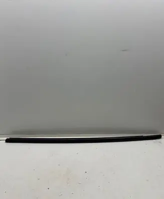 Renault Zoe Front door glass trim molding 