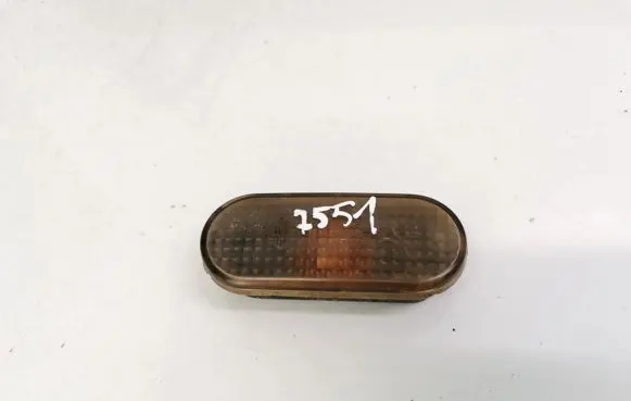 Front fender indicator light