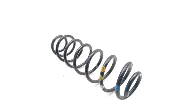 Rear coil spring