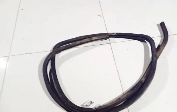 Ford Focus Rubber seal rear door 