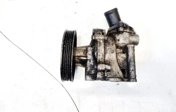 Mercedes-Benz C W202 Water pump r1032010101