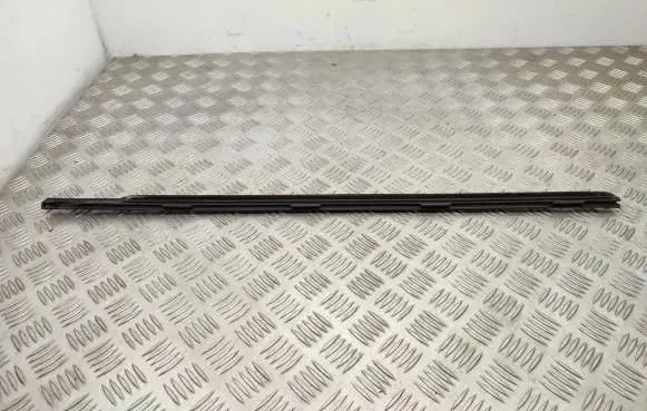 Fiat 500L Front door glass trim molding