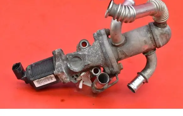 Fiat Punto (199) EGR valve