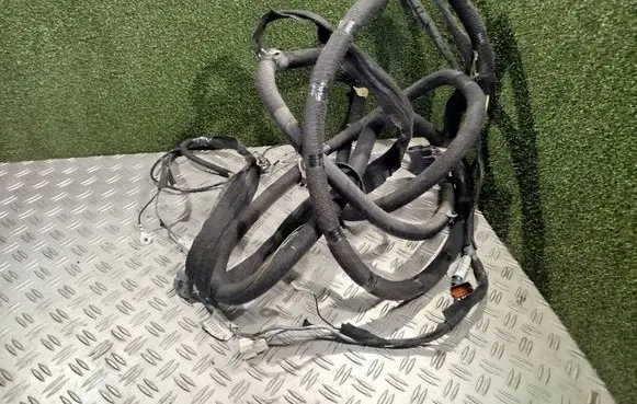 Other wiring loom