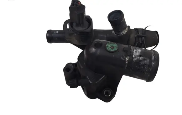 Thermostat/thermostat housing