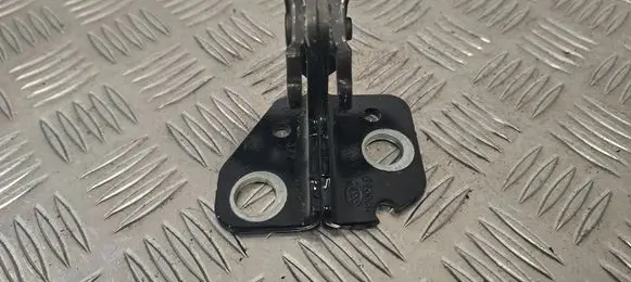 Ram 1500 DT Rear door lower hinge 120038