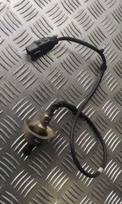 KIA Carens I Lambda probe sensor 3921025300
