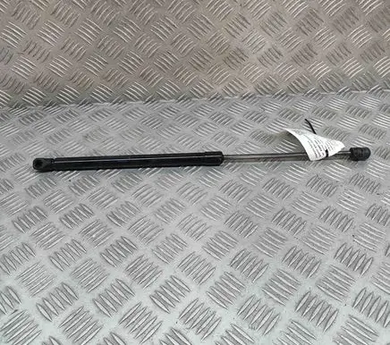 Tailgate/trunk strut/damper