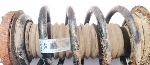 BMW X5 E53 Front coil spring 6750338