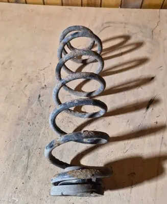 Volkswagen Bora Rear coil spring 