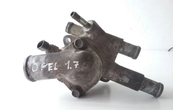Thermostat/thermostat housing