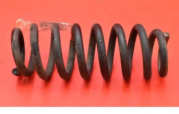 Rear coil spring