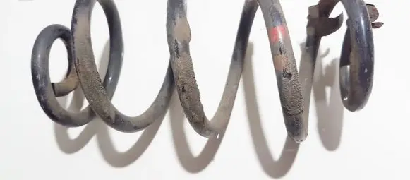 Nissan Qashqai Rear coil spring