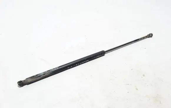 Tailgate strut
