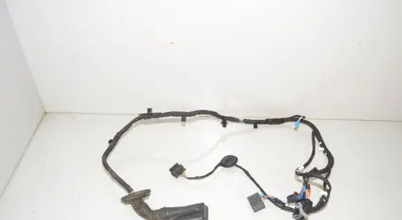 BMW X1 U11 Front door wiring loom 5B32191 61125A43569 5A43569
