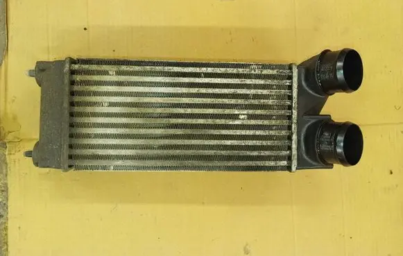 Peugeot 5008 Intercooler radiator 9656503480