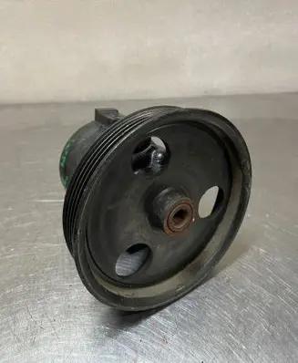Dacia Sandero Power steering pump