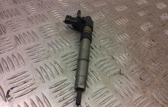 Land Rover Evoque I Fuel injector 9687454480