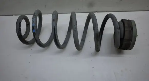 Rear coil spring