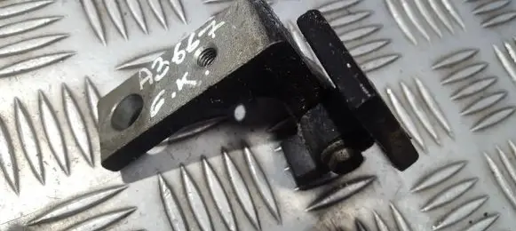 Rear door lower hinge