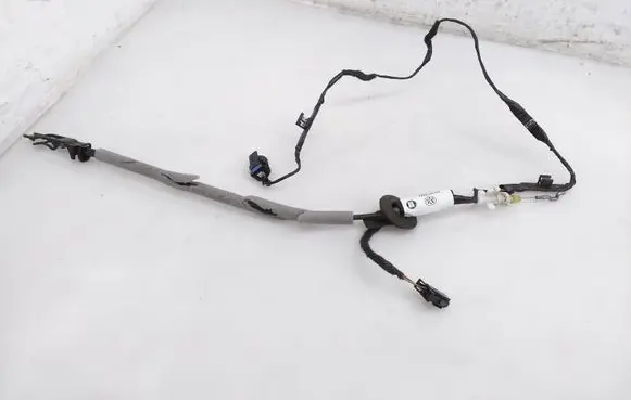 Rear door cable line