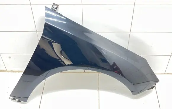 Ford Focus Fender