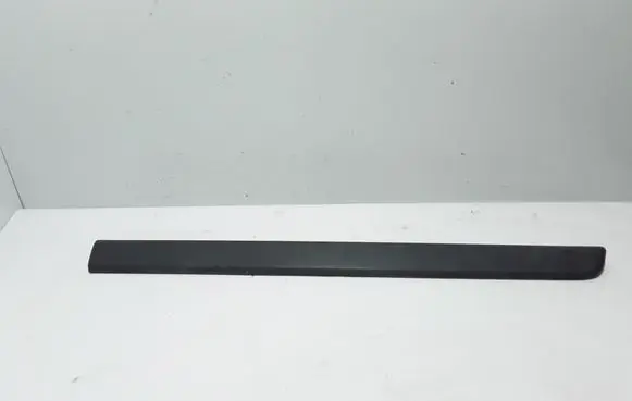 Renault Kangoo II Front door trim (molding) 8200439113