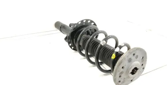 Land Rover Discovery Sport Front shock absorber/damper FK7218K001AD