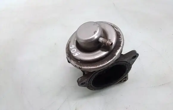 Skoda Octavia Mk2 (1Z) EGR valve 038131501AM 145705072